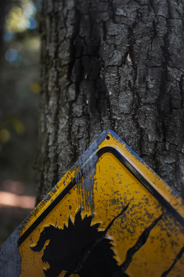 154-fallout-deathclaw-crossing-metal-sign-4.webp Fallout Deathclaw Crossing Metal Sign