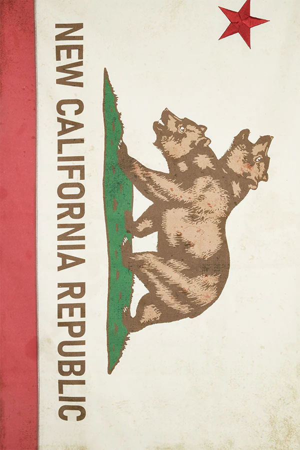 749-fallout-ncr-canvas-banner-3.webp Fallout NCR Canvas Banner