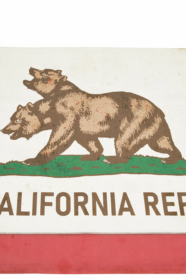 749-fallout-ncr-canvas-banner-5.webp Fallout NCR Canvas Banner