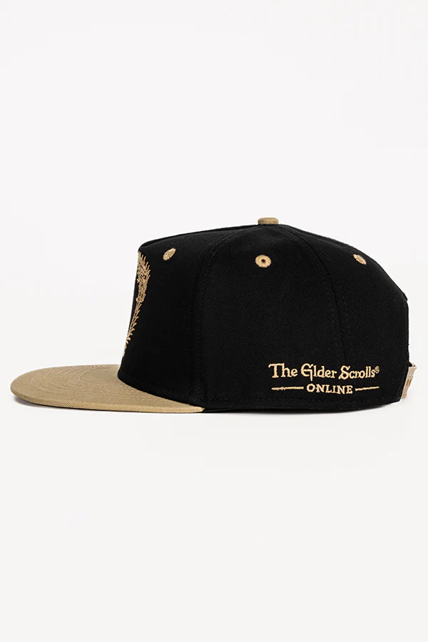 965-the-elder-scrolls-online-ouroboros-snapback-hat-8.webp The Elder Scrolls Online Ouroboros Snapback Hat